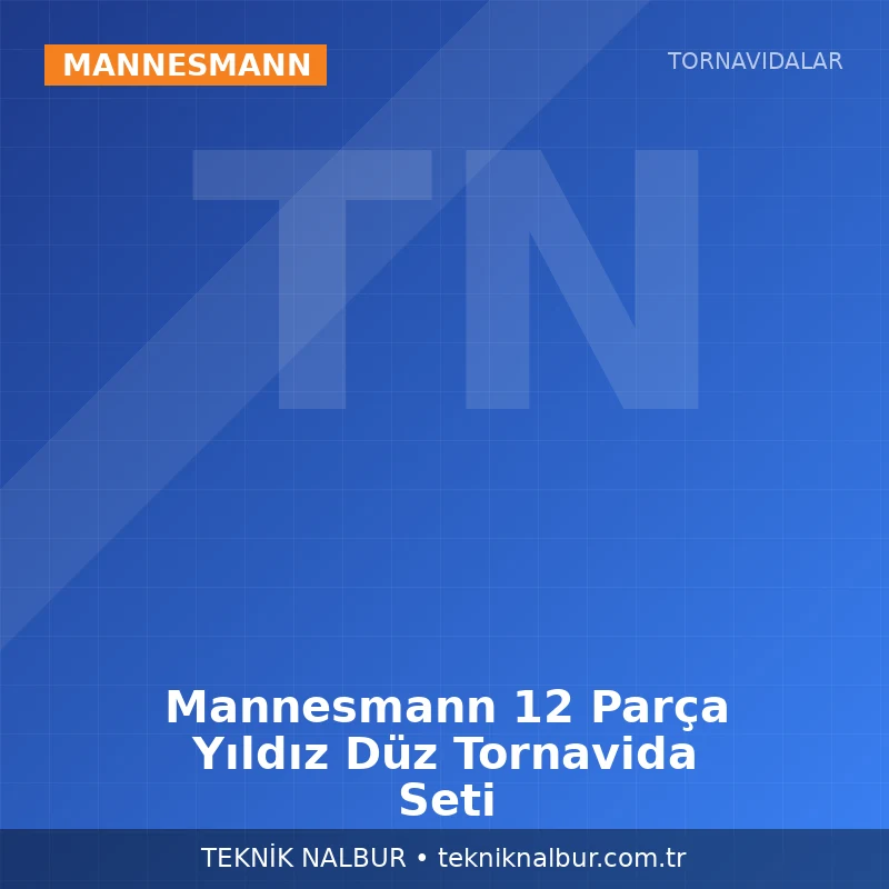 Mannesmann 12 Parça Yıldız Düz Tornavida Seti